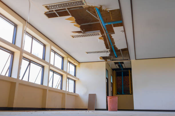 Best Basement water damage restoration  in Wagner, SD