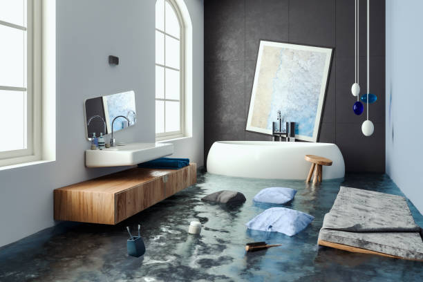 Best Water damage restoration near me  in Wagner, SD
