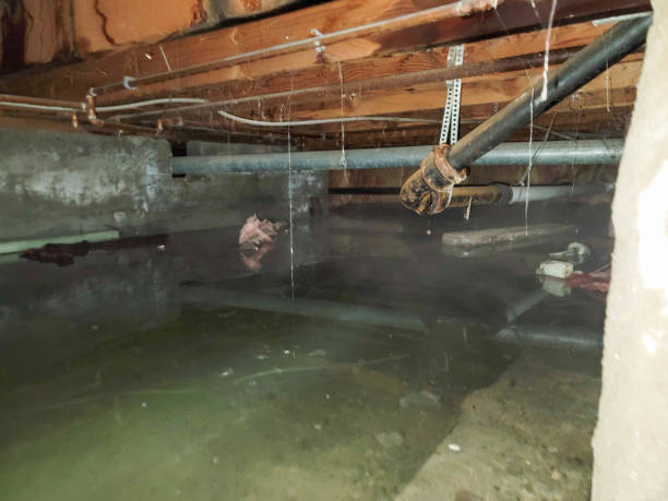 Best Water damage restoration near me  in Wagner, SD