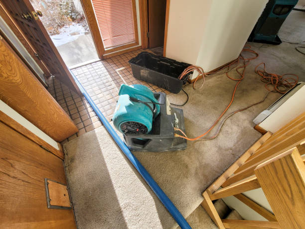 Best Carpet water damage restoration  in Wagner, SD