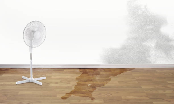 Best Sewage cleanup and water damage restoration  in Wagner, SD