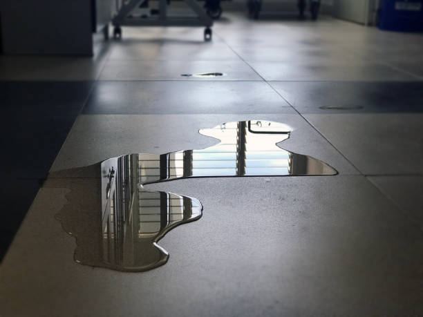 Professional Water damage restoration in SD