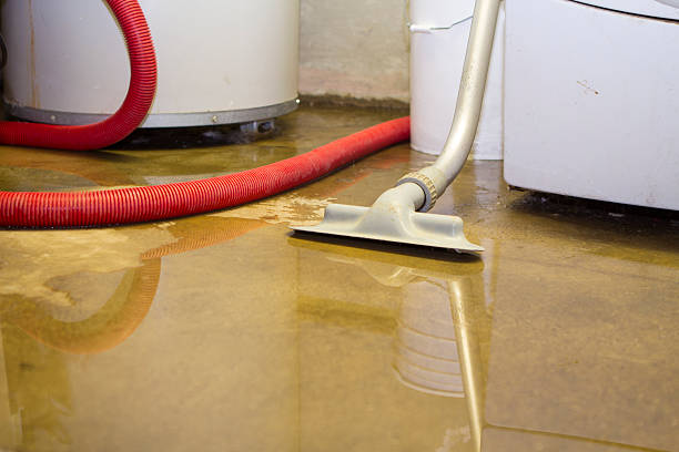 Best Emergency water extraction  in Wagner, SD