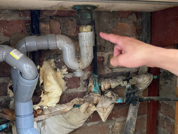 Best Flood restoration services  in Wagner, SD