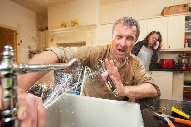 Best Mold removal after water damage  in Wagner, SD